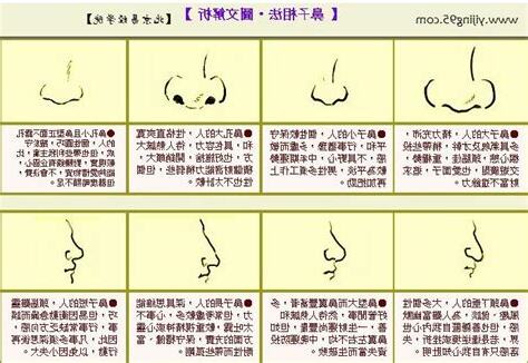 看鼻子 面相